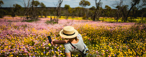 TransWA | Coaches WA | Prospector Train Kalgoorlie | Australia's…