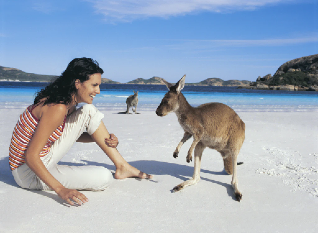 Kangaroo at Lucky Bay Esperance photo by Richard Powers Tourism Australia 10