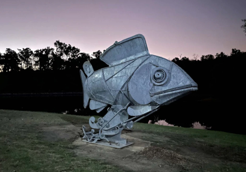 Wander the Fish Sculpture Boddington