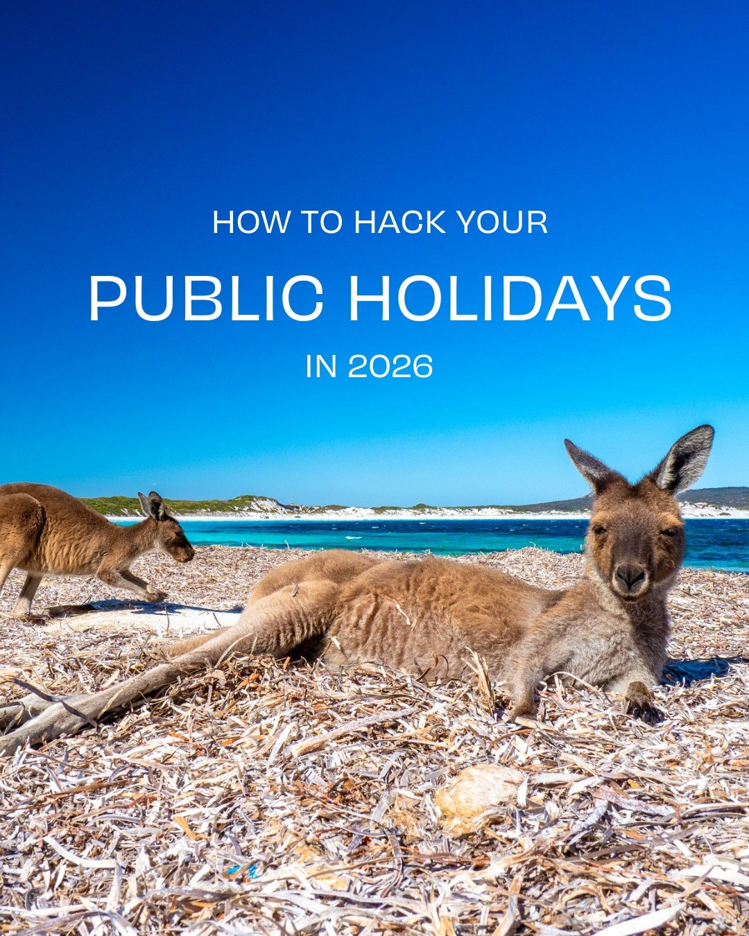 australiasgoldenoutback