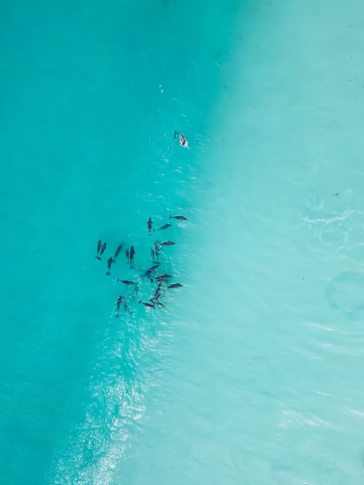 australiasgoldenoutback