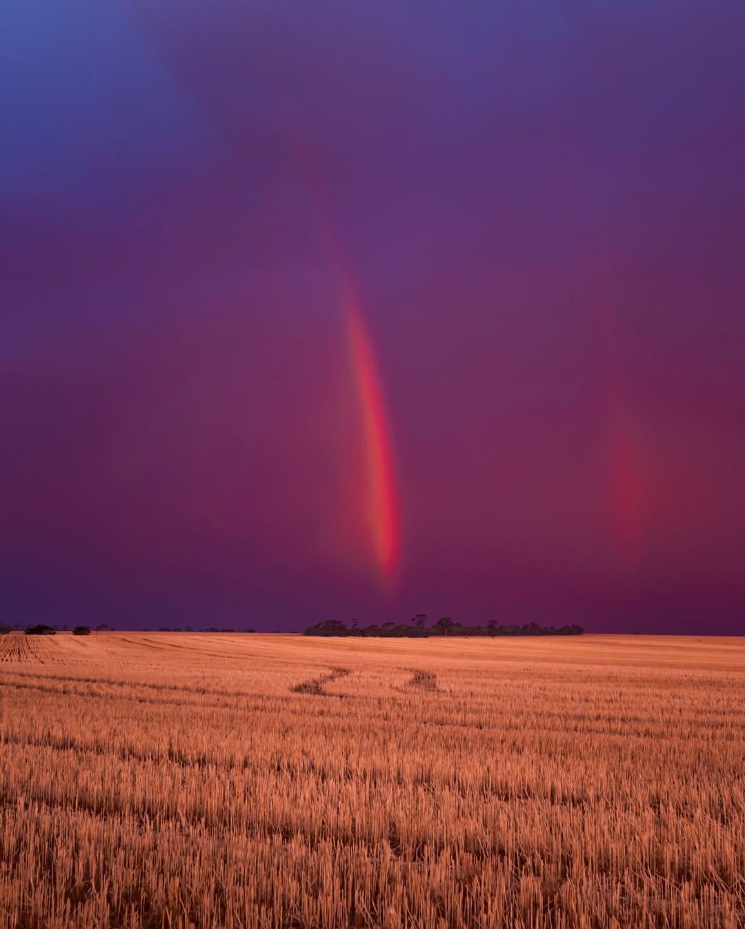 australiasgoldenoutback