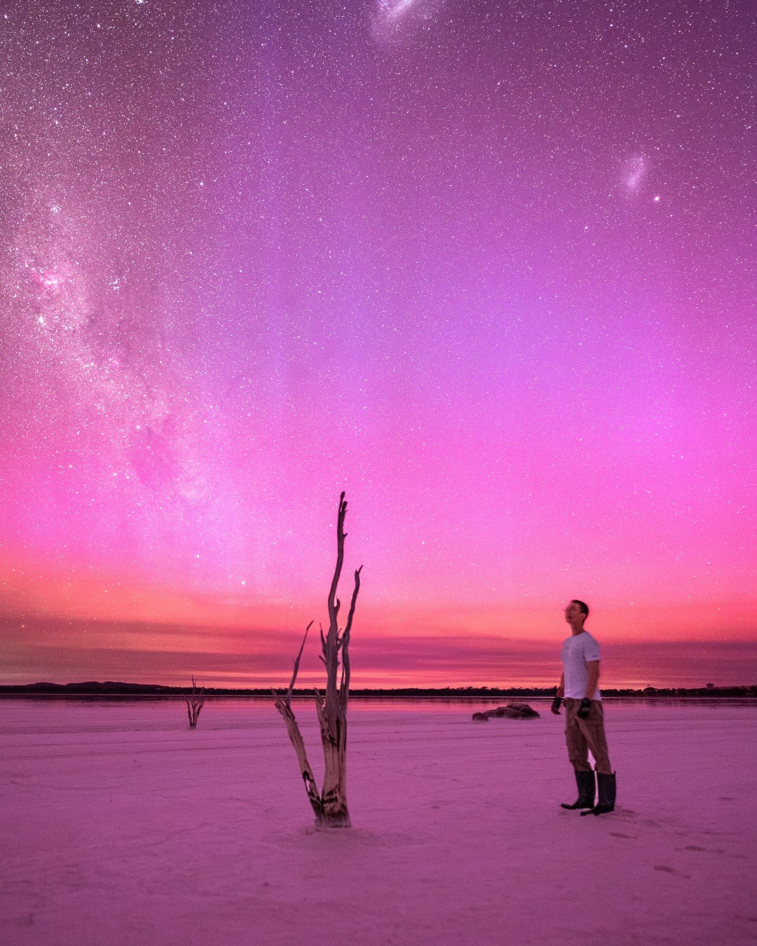 australiasgoldenoutback