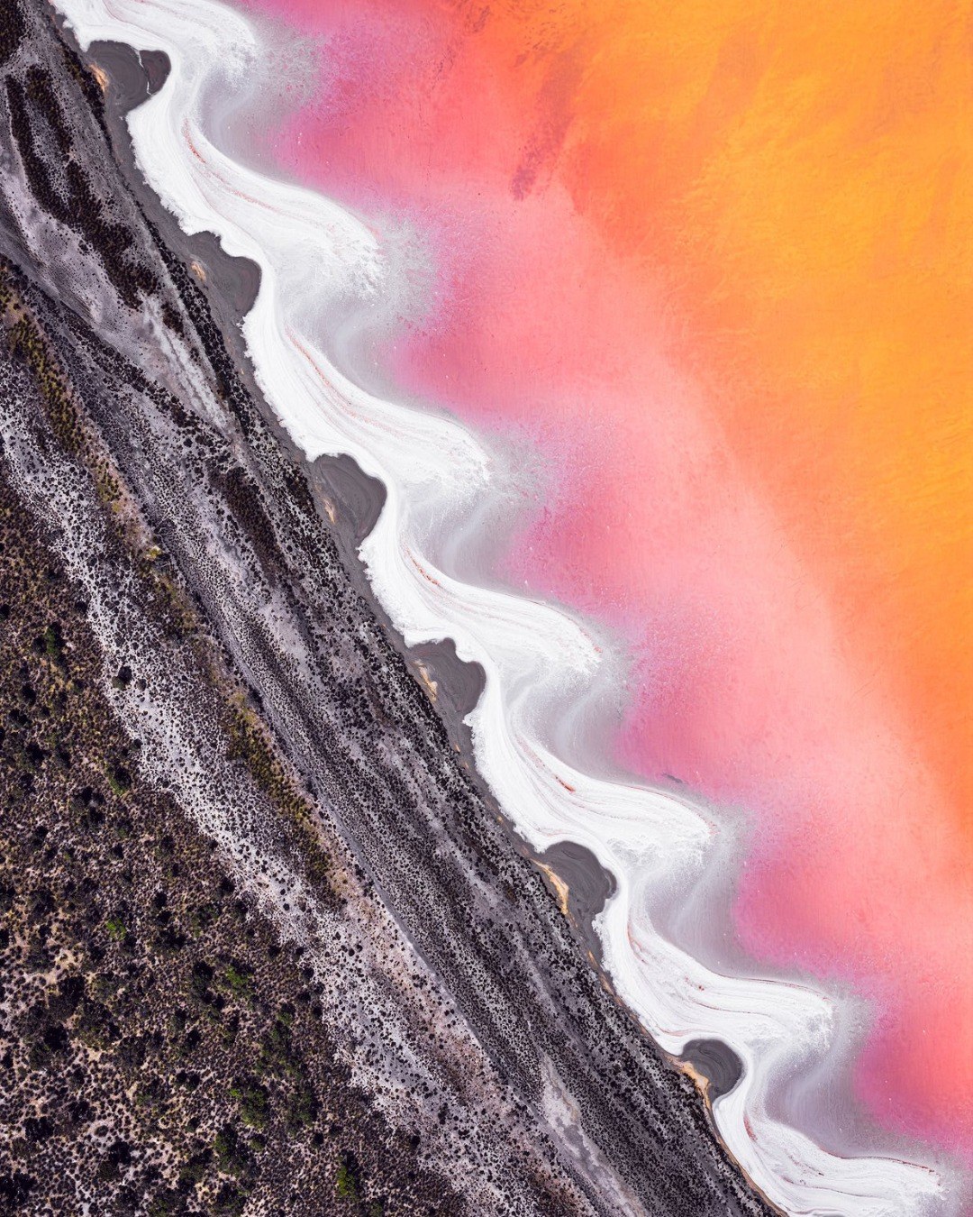 australiasgoldenoutback