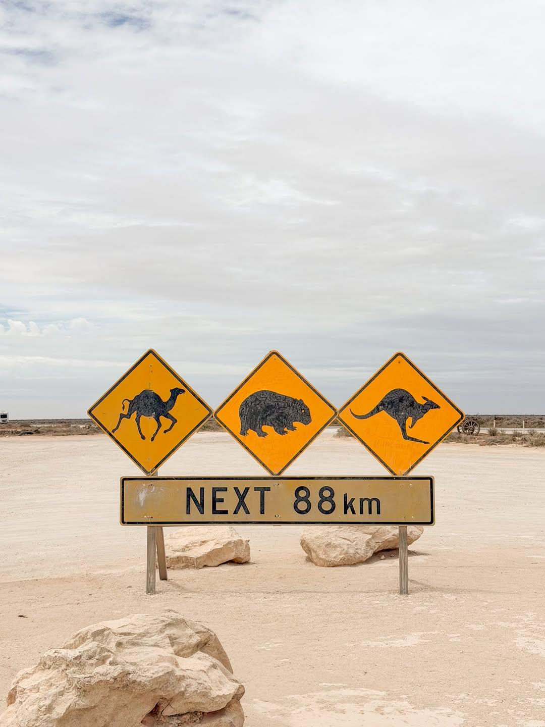 australiasgoldenoutback