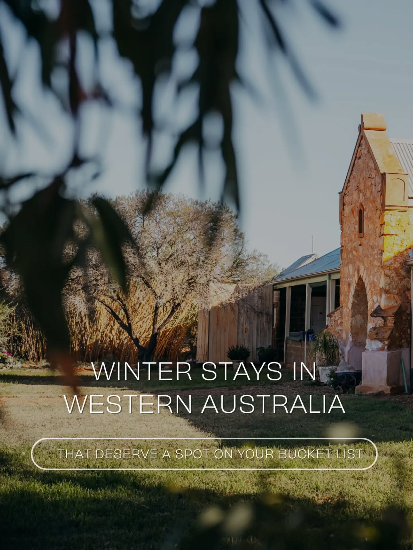australiasgoldenoutback