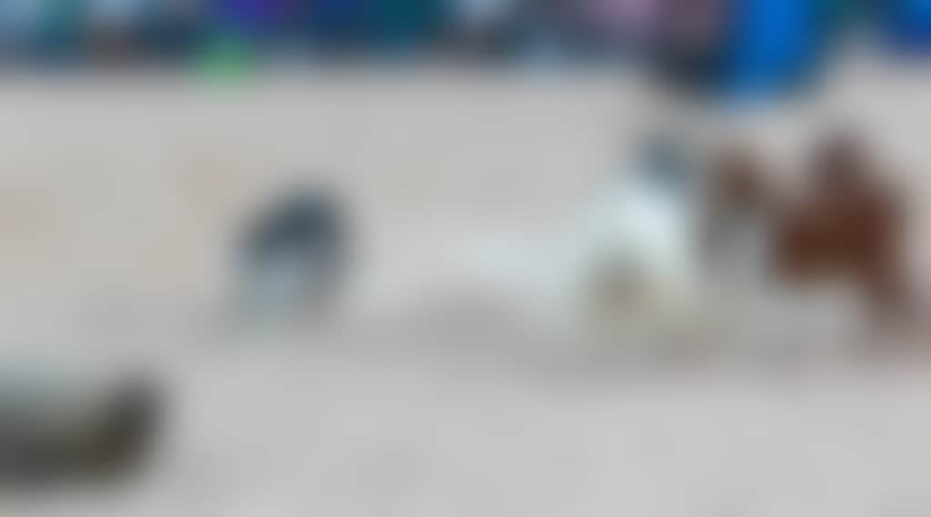 5860097E5Ae316D61D66F3D559Ee1B6C_9Hyjd86_W6Zre65_Fd505Z5_D1Imvt4_Ih3U10C_Es9Wvfy