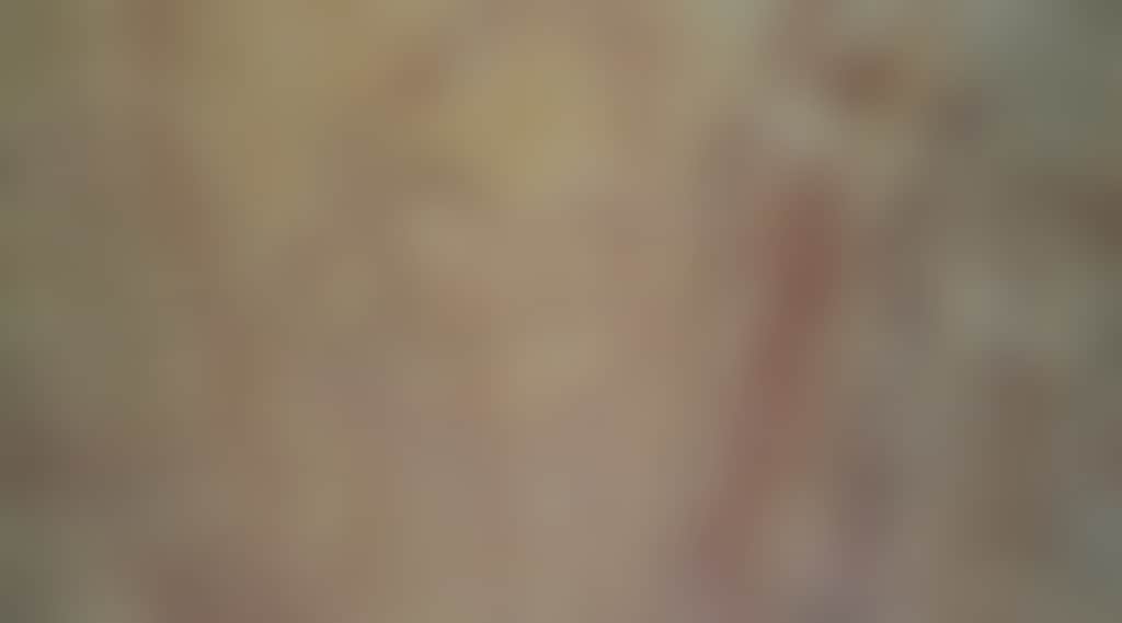 6F9571E068F383Eb234Ef5F71D6630D8