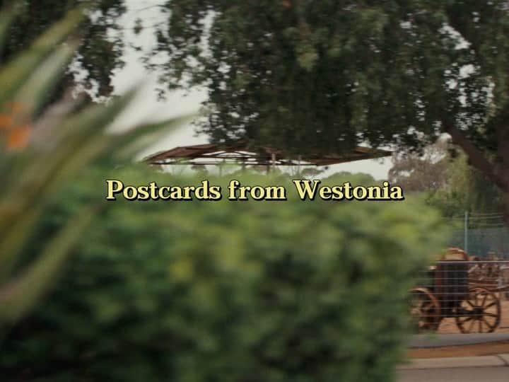 australiasgoldenoutback