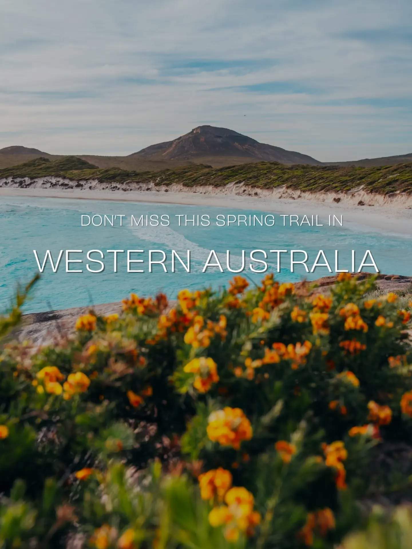 australiasgoldenoutback