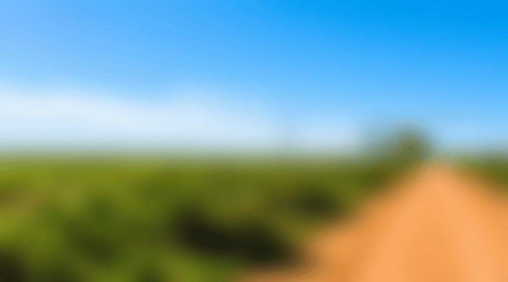 Baandee-Salt-Seed-Nature-Camp_Gir2Xc8
