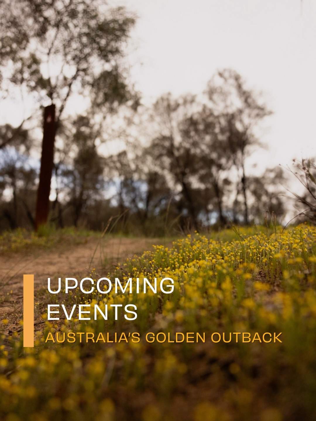 australiasgoldenoutback
