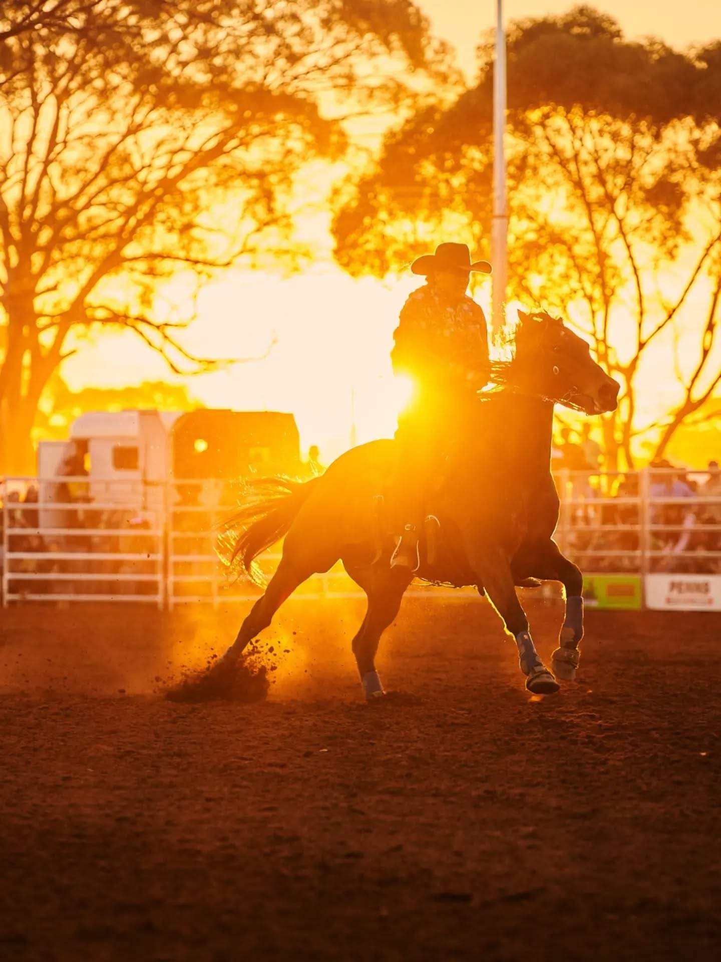 australiasgoldenoutback