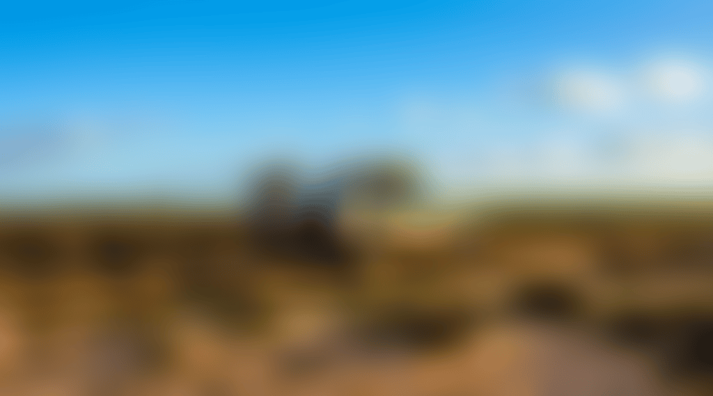 Baandee-Salt-Seed-Nature-Camp_Sl6A6Or