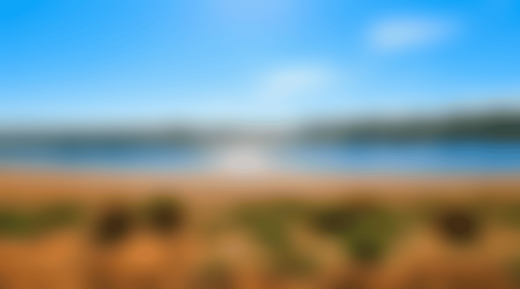 Baandee-Salt-Seed-Nature-Camp_Wp1Fs8X