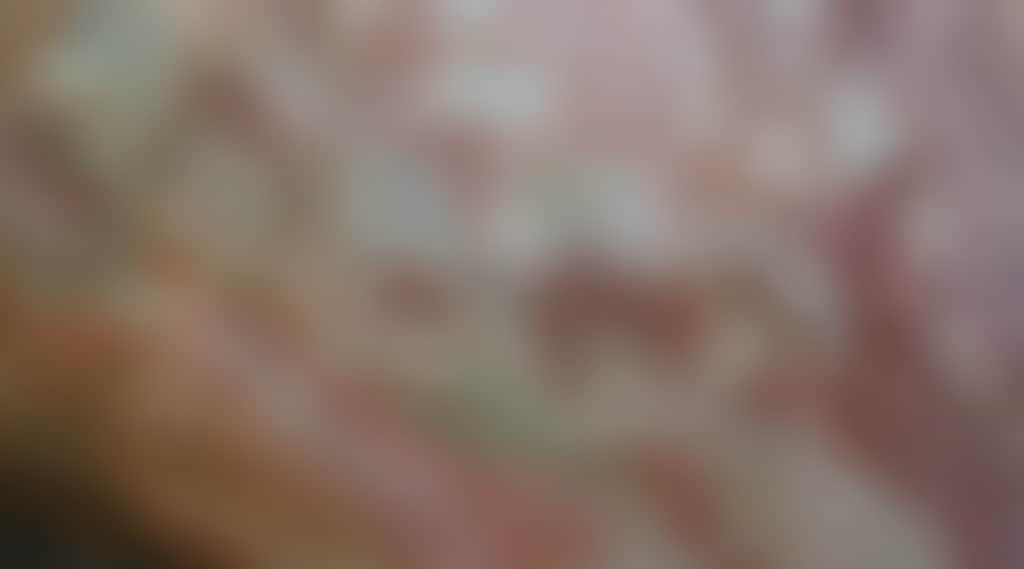 D5Df8Ac89227D040Fb4Dbf93Fd77Cebb