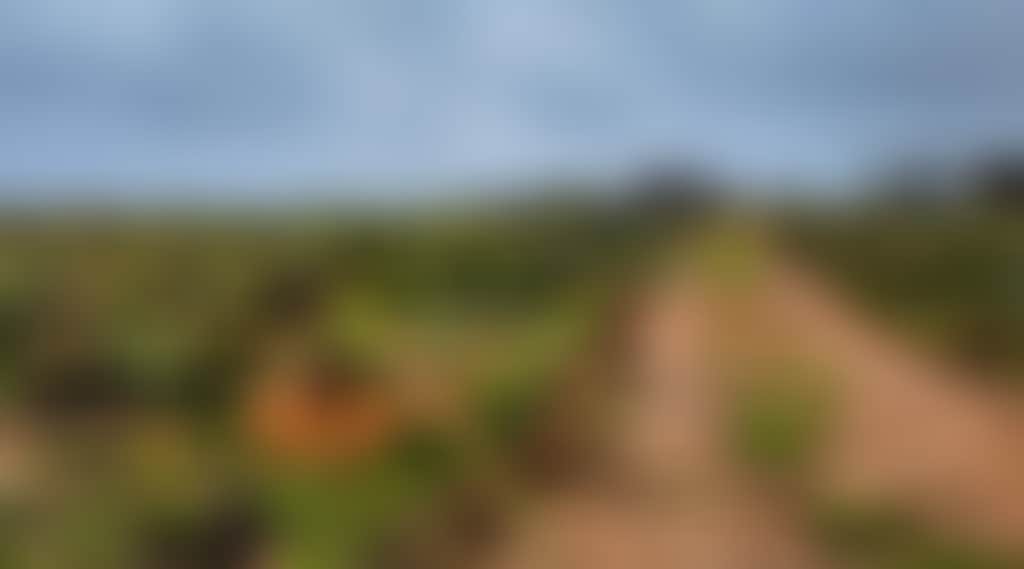 Nxwxev1Ycxr53A9Mgzsg_Jqyu2H1