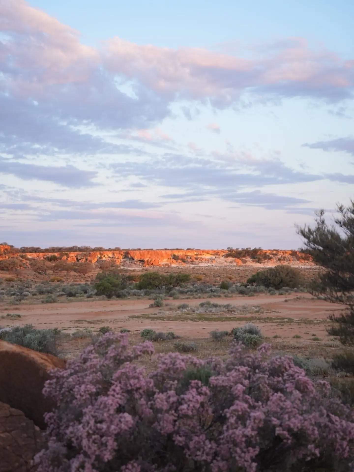 australiasgoldenoutback