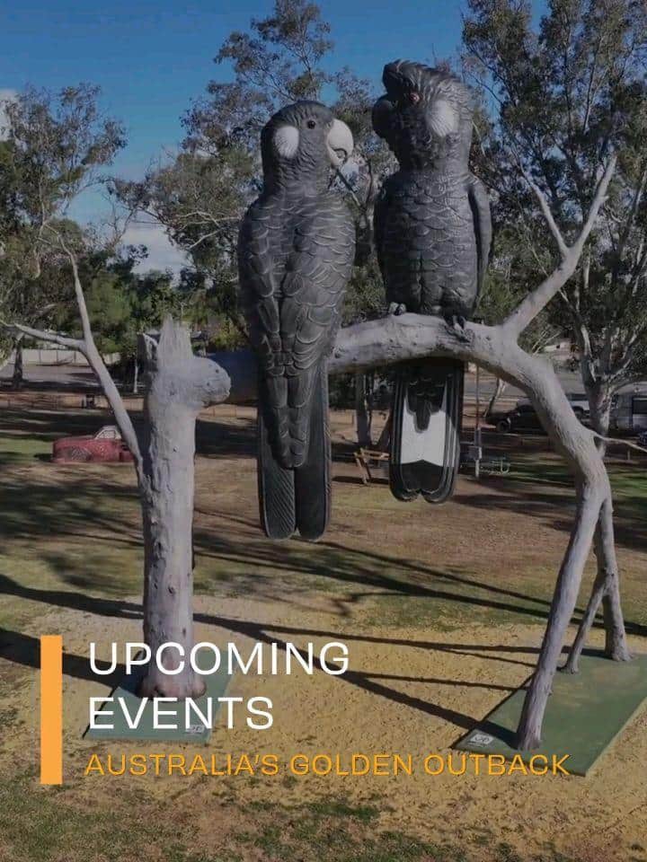 australiasgoldenoutback