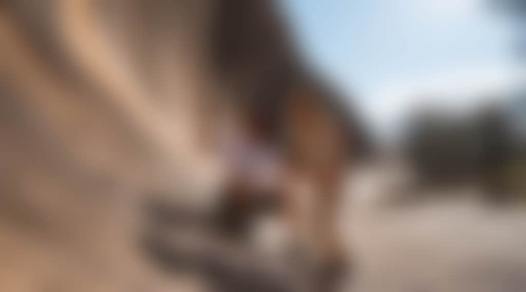 Wave Rock Resort NECI 17