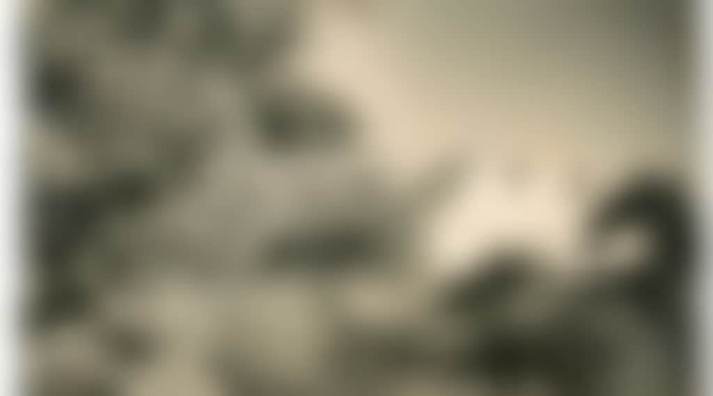 98Bc16Fb44213Ca6E362Be9Ce00542Bd