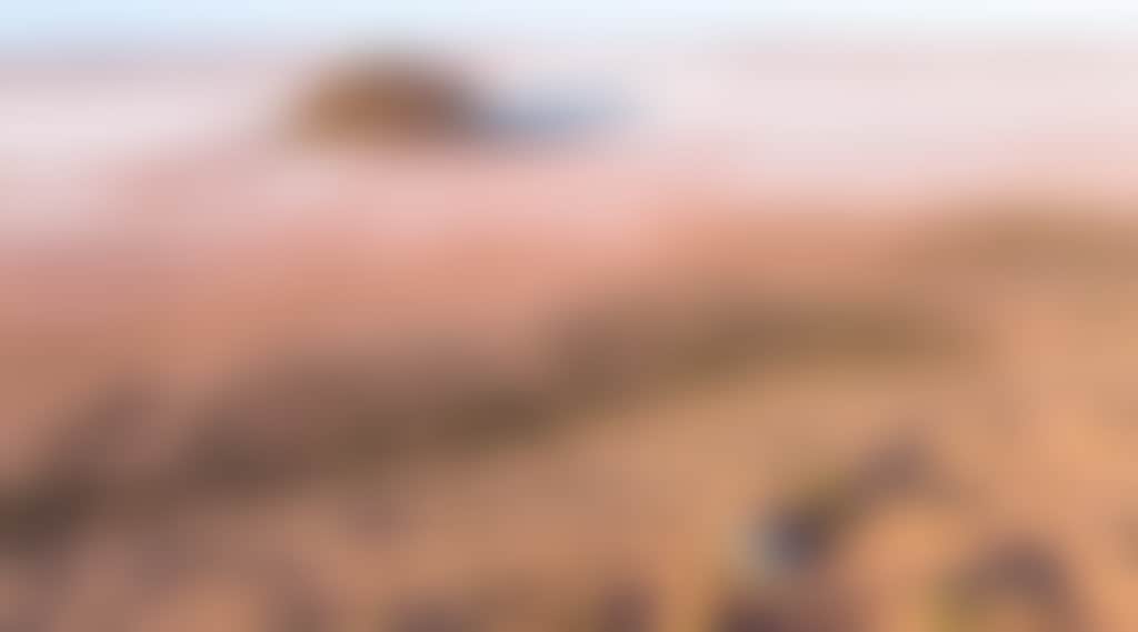 Lake Ballard 81