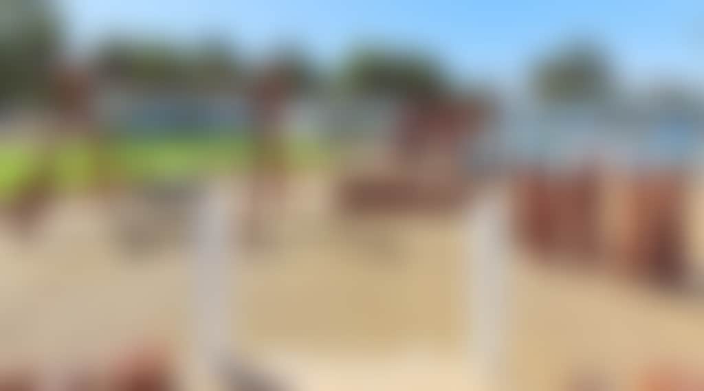 E103657F8F3931A063267979A75C12A0