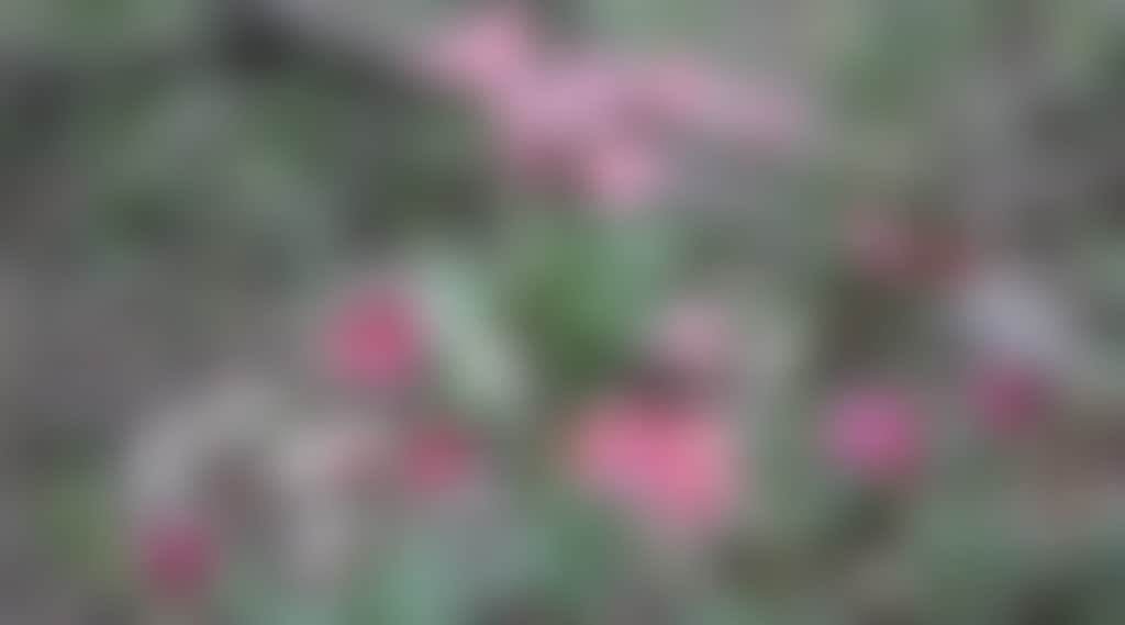 F63A3D938A4280F7B52F20214Af7A610