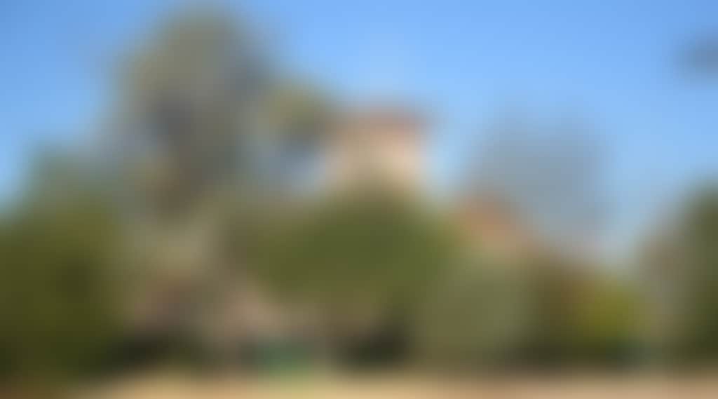 50E46F6E8Ae5F021916Fe92937Ebeff8