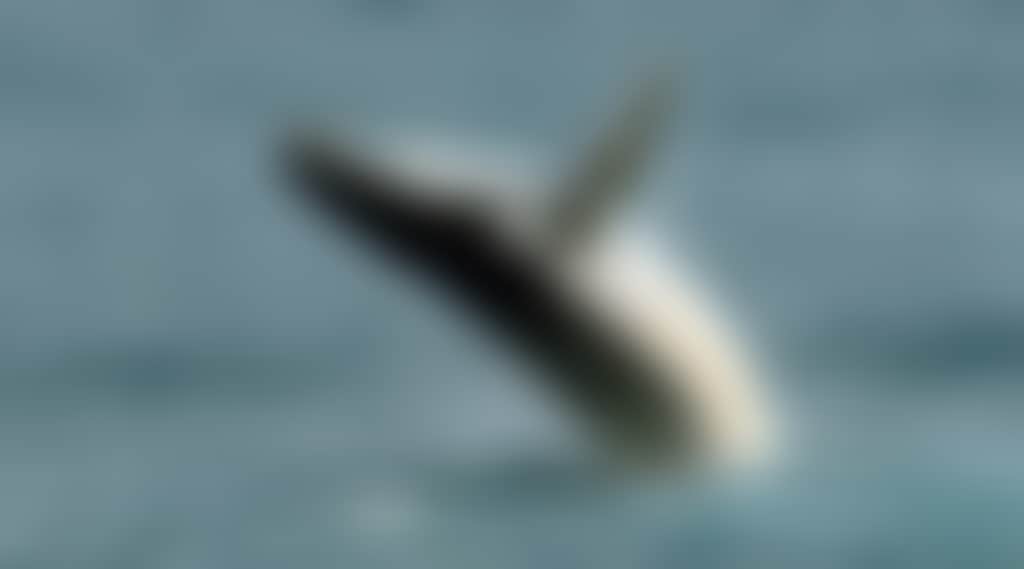 Eee7Dc6C57Fd8Aba4C01Ba4Ab37Ca3Bf