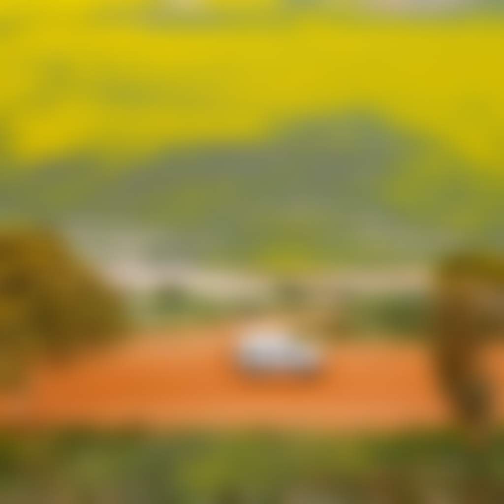 Kukerin Canola 1