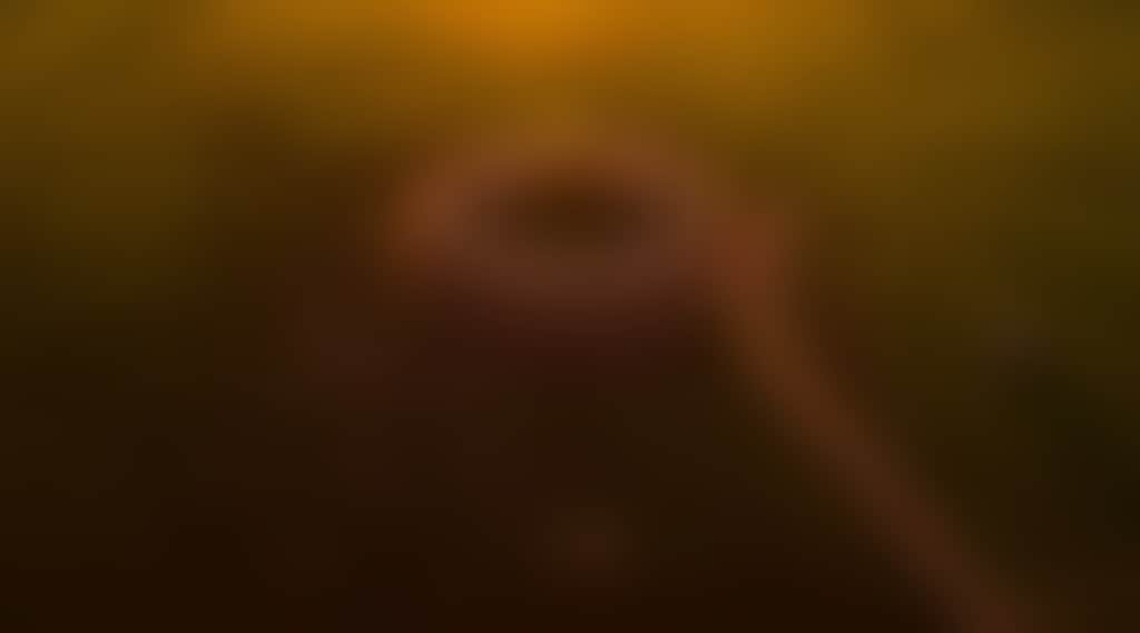 9A3F0Cc2C085B98C55C67Dc8Bd418Daa