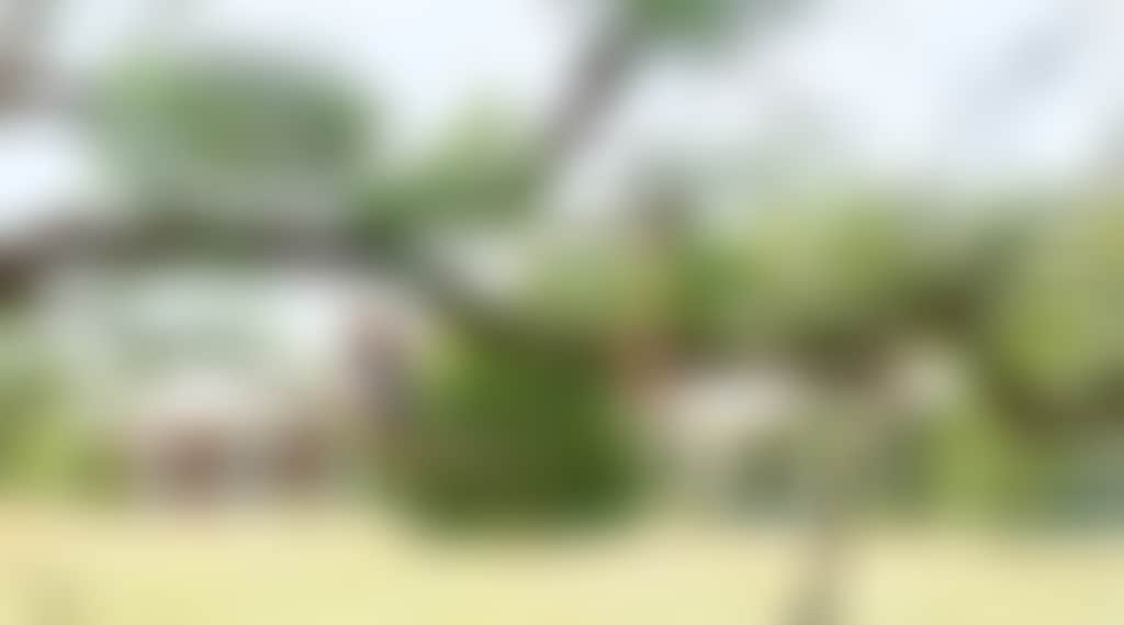 2A0F718B67Ef915E44C489F10Dba18Ef
