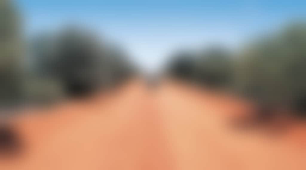 Original__9601686_Watc_Golden_Quest_Discovery_Trail_Zbzmaci