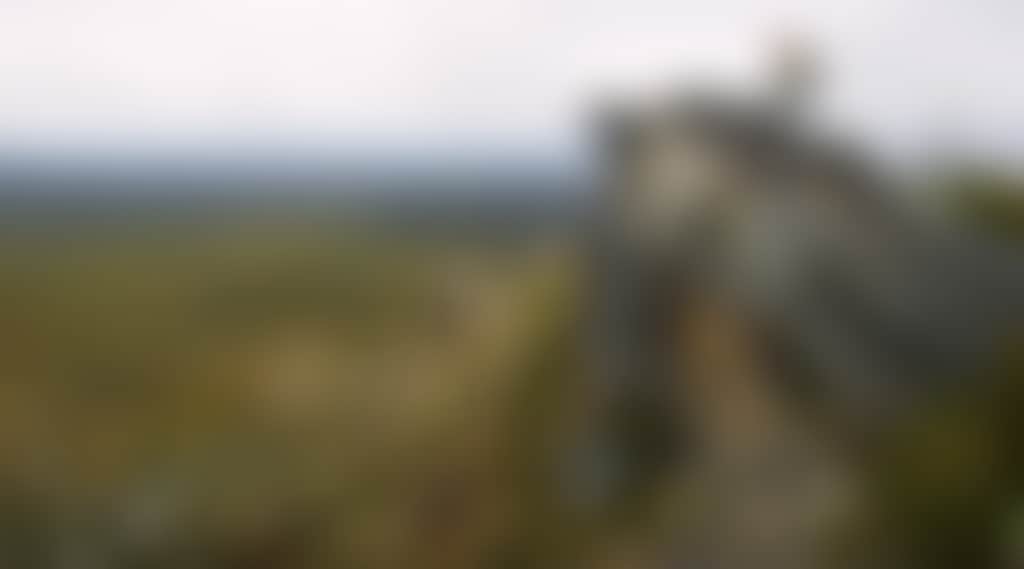 Original__9569878_Watc_007691786_Lo1Smx4