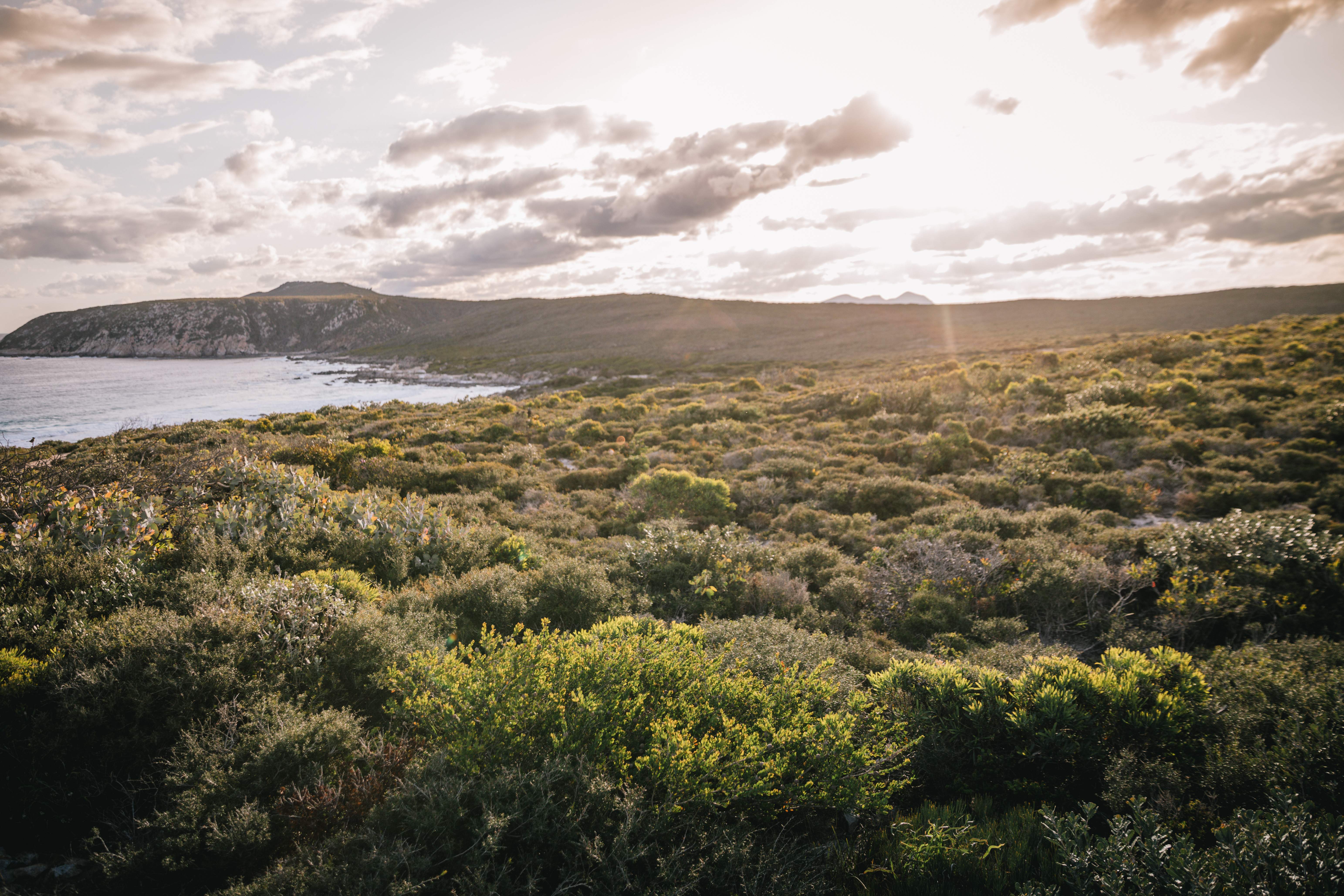 Fitzgerald River National Park