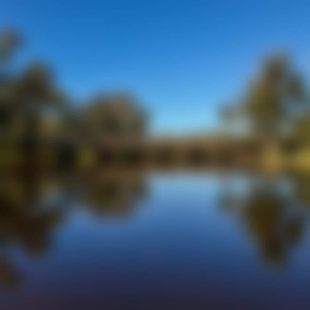 Williams River