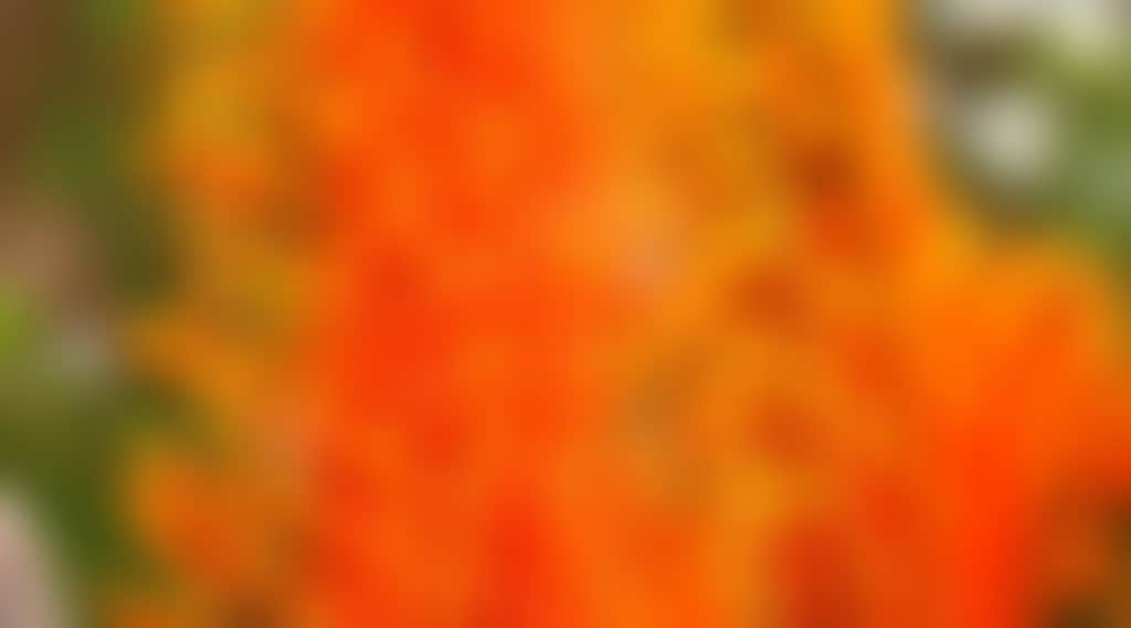 8657A8B0Ed6Fc87D12D5E1Bb84Afdf8F