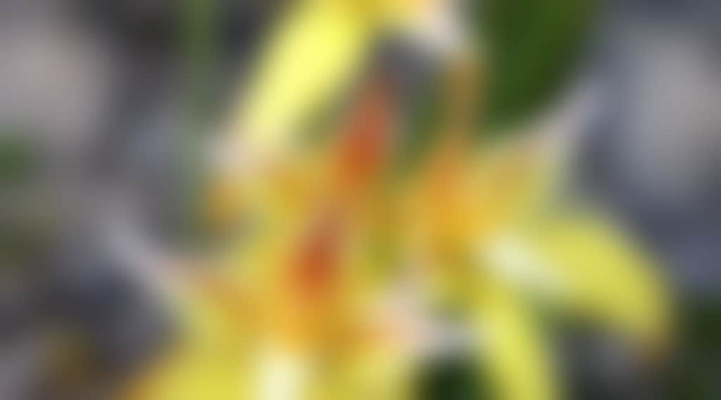 28Eb0C8Bb6993B0322Ff73A61213D8F3