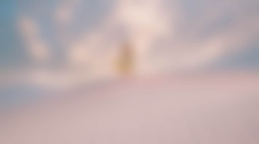 B208Ee7B67325B522B45E389D3470228