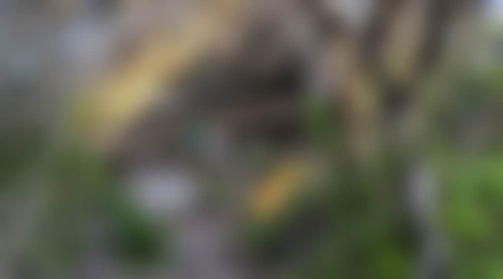 23B66295D2730D1F2C3D278Dde013Df6