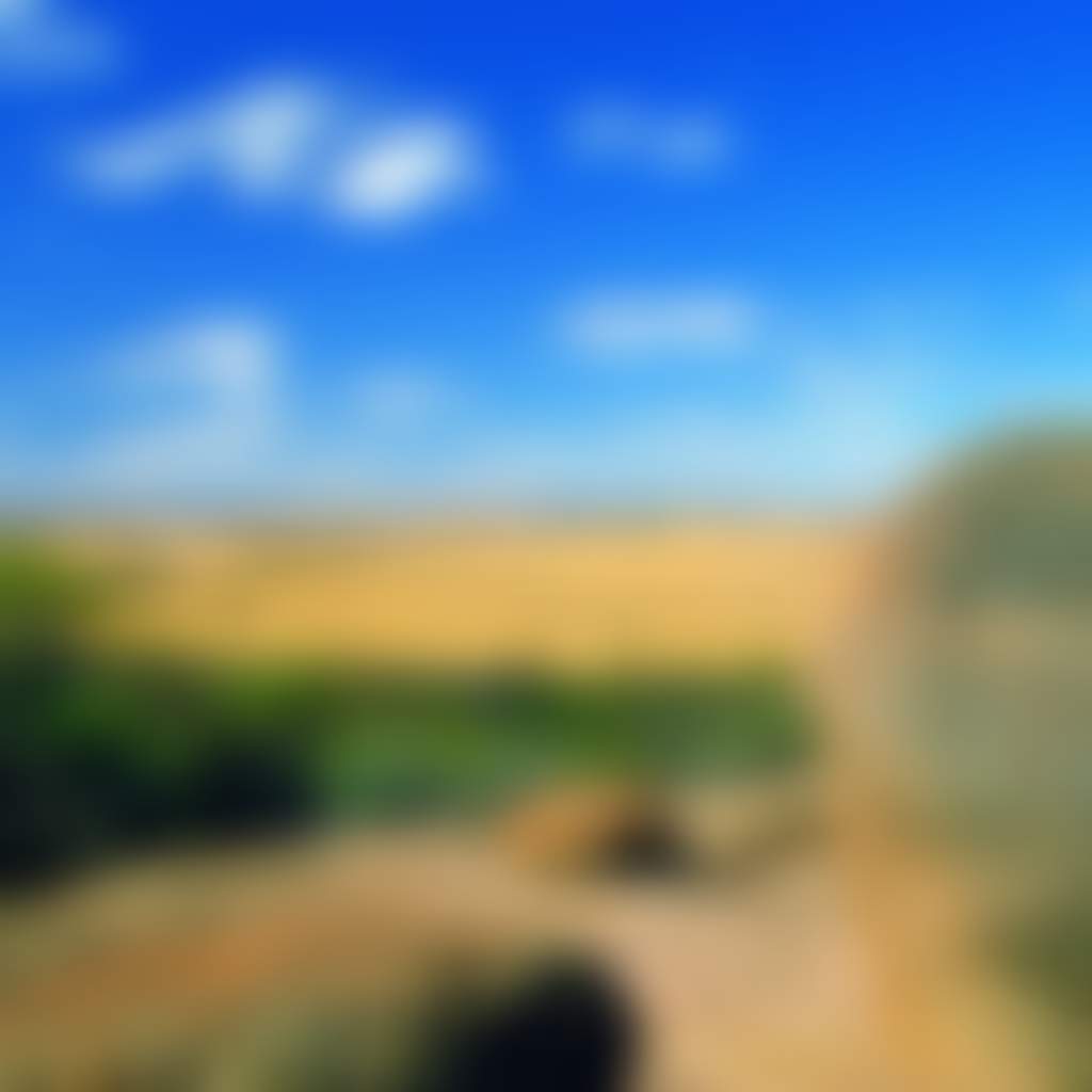 Wheatbelt vistas as far as the eye can see Kokerbin Rock