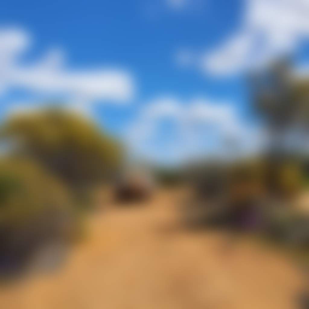 Merredin Wildflower Drive