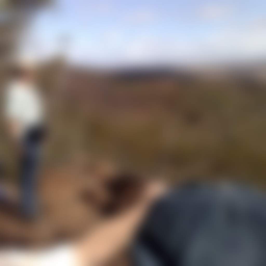 Mt matilda