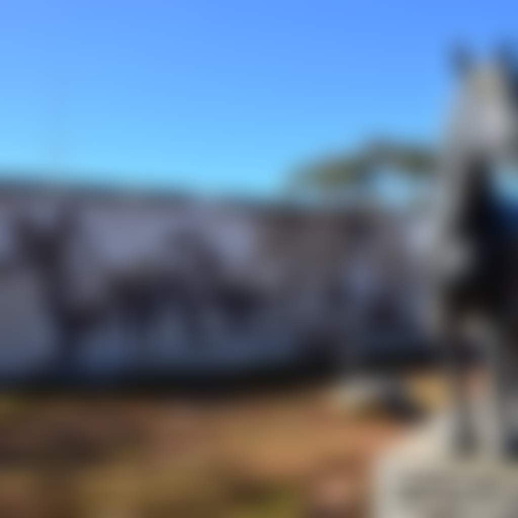Moora0254