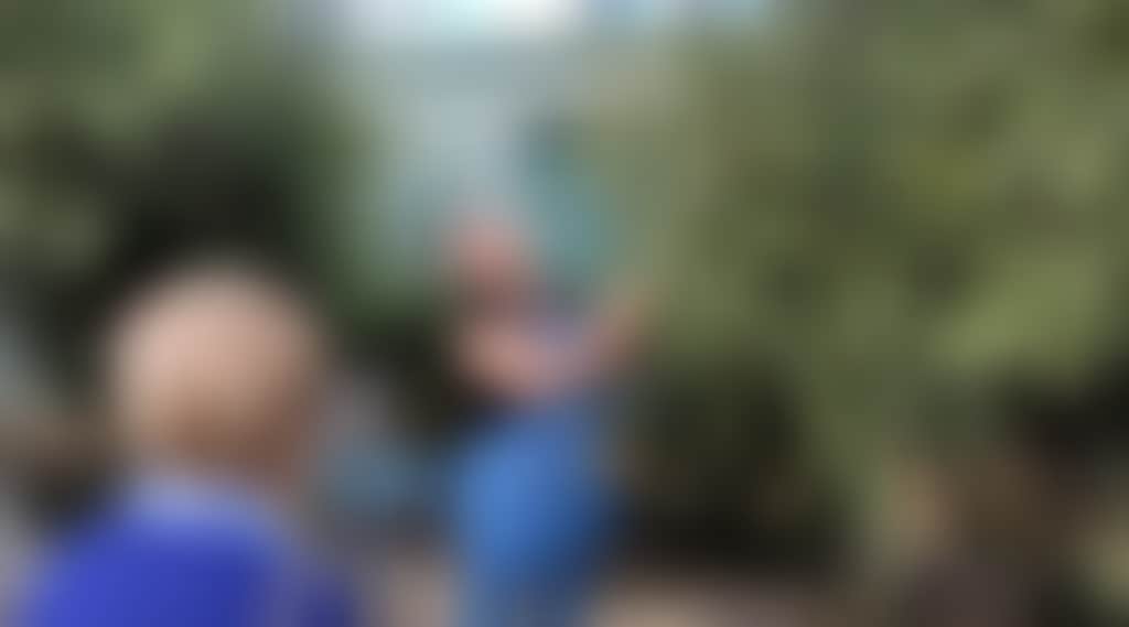 0Ca71C69A22A091B79F79De9E1C67C6E