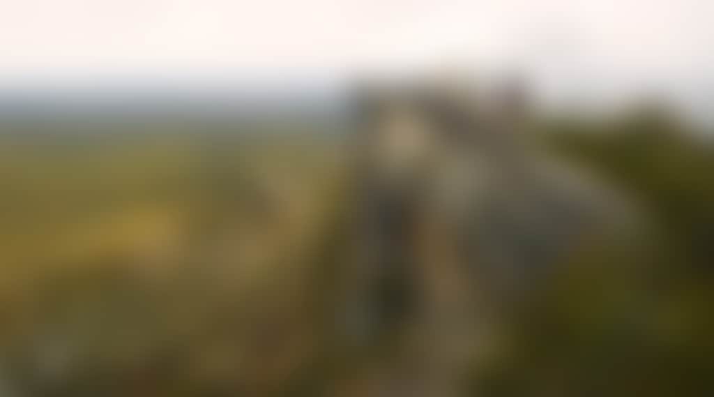 D042Ff20Fd8C7B52D160F058F4Fee92F
