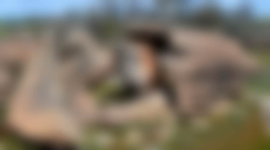 C26Ce21E7Ceeda281D2E5A9Aafbc8576