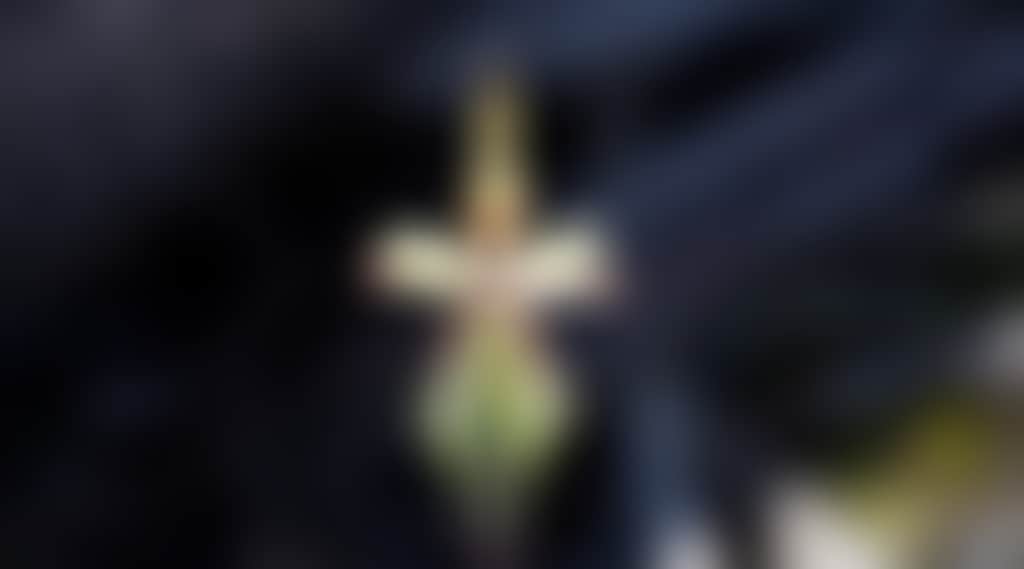 66606Abe9Af6B4D7394C4109F32283E4