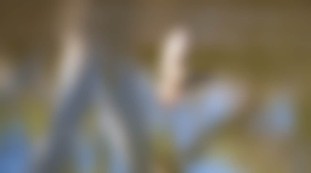 10483D26Dfeae120Cb01D061A9C9B940